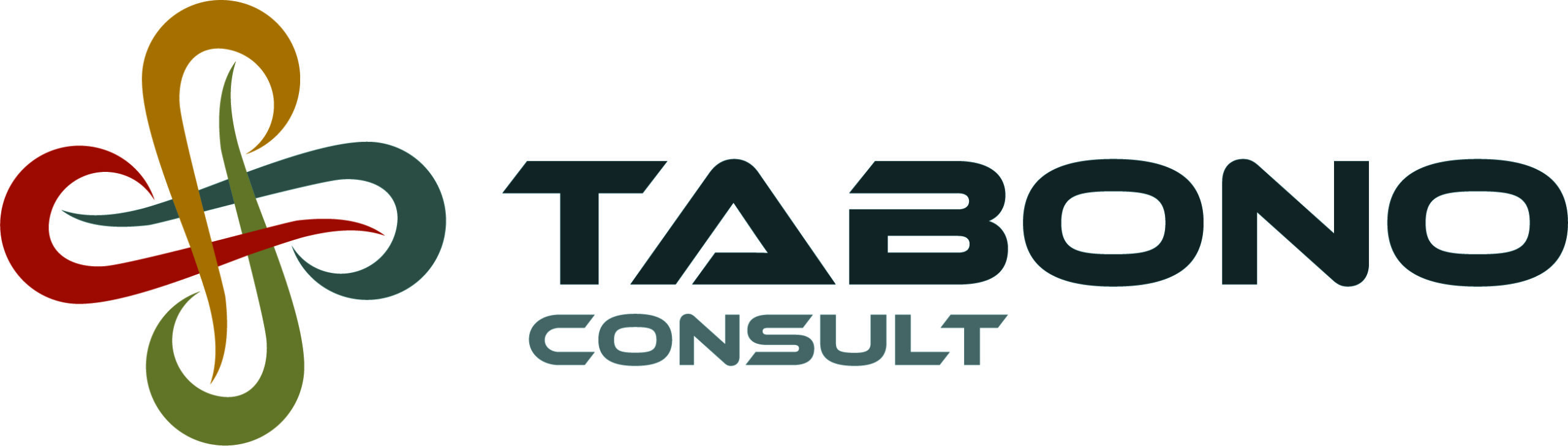 Logo Tabono Consult